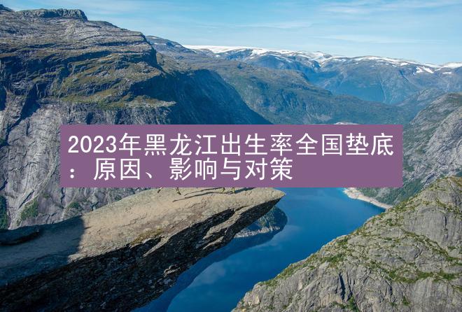 2023年黑龙江出生率全国垫底：原因、影响与对策