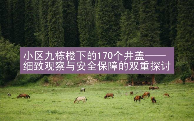 小区九栋楼下的170个井盖——细致观察与安全保障的双重探讨