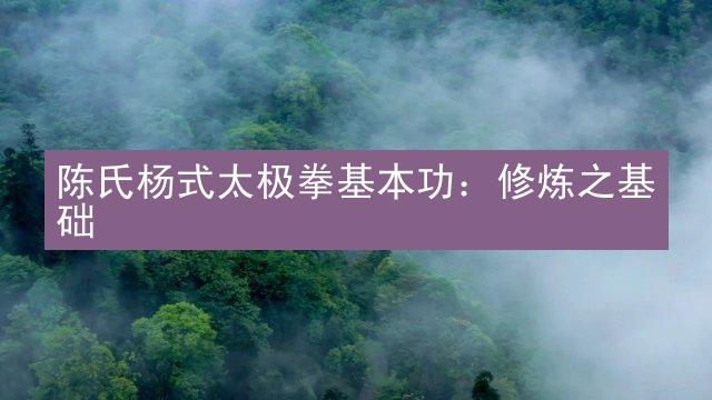 陈氏杨式太极拳基本功：修炼之基础