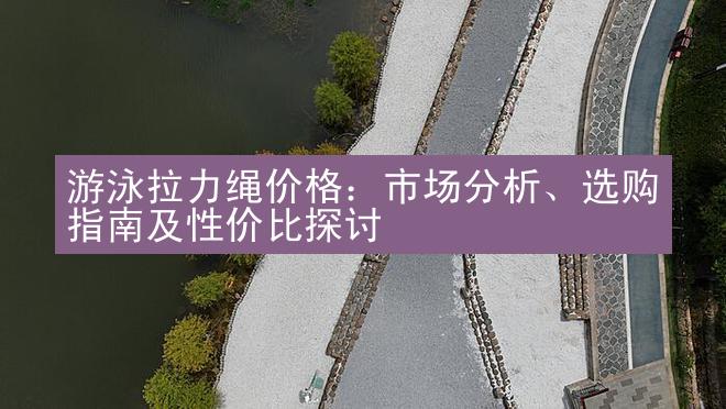 游泳拉力绳价格：市场分析、选购指南及性价比探讨