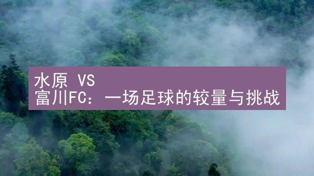 水原 VS 富川FC：一场足球的较量与挑战