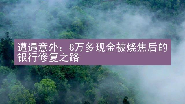 遭遇意外：8万多现金被烧焦后的银行修复之路