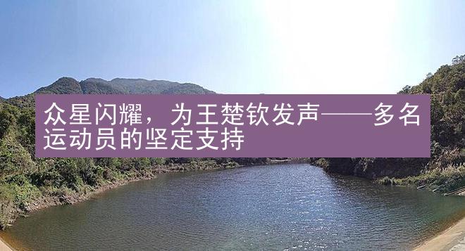 众星闪耀，为王楚钦发声——多名运动员的坚定支持