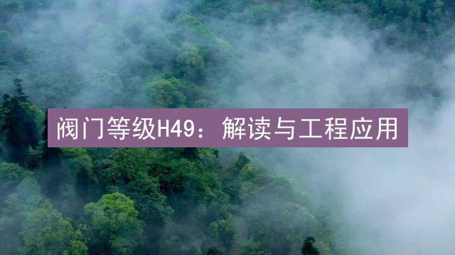 阀门等级H49：解读与工程应用