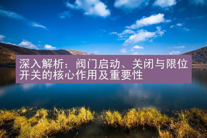 深入解析：阀门启动、关闭与限位开关的核心作用及重要性