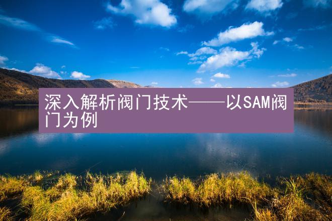 深入解析阀门技术——以SAM阀门为例