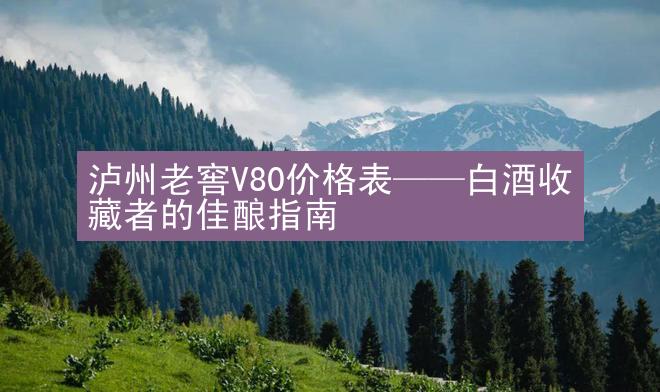 泸州老窖V80价格表——白酒收藏者的佳酿指南