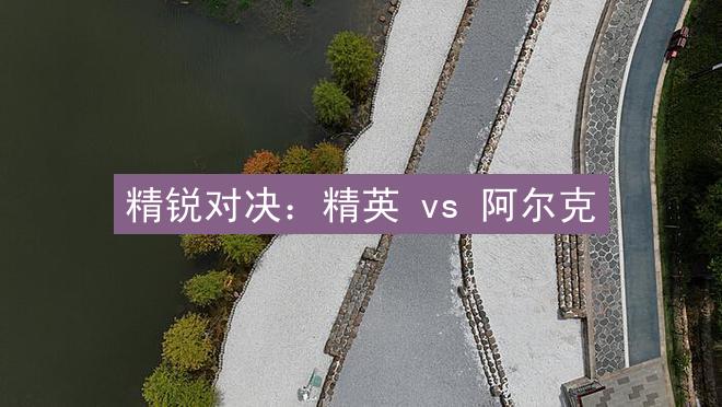 精锐对决：精英 vs 阿尔克