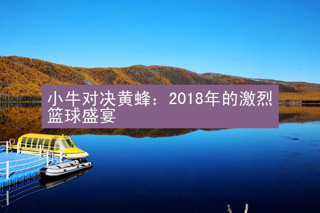 小牛对决黄蜂：2018年的激烈篮球盛宴