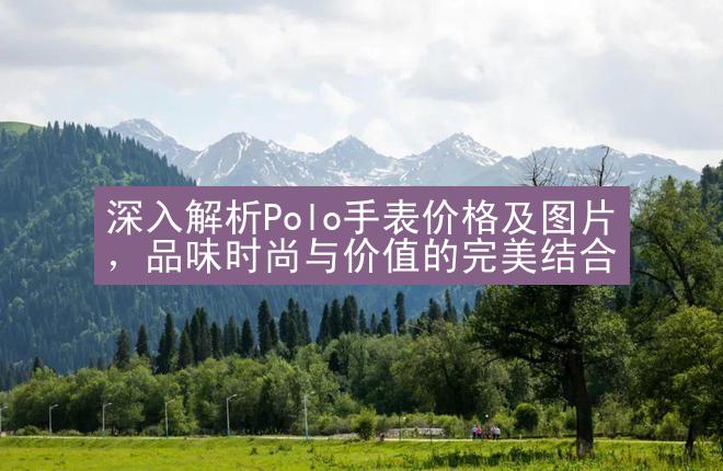 深入解析Polo手表价格及图片，品味时尚与价值的完美结合