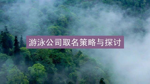 游泳公司取名策略与探讨