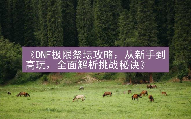 《DNF极限祭坛攻略：从新手到高玩，全面解析挑战秘诀》