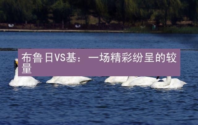 布鲁日VS基：一场精彩纷呈的较量