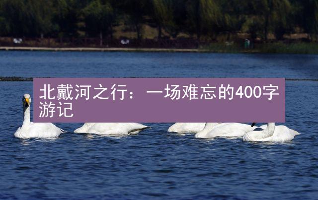 北戴河之行：一场难忘的400字游记